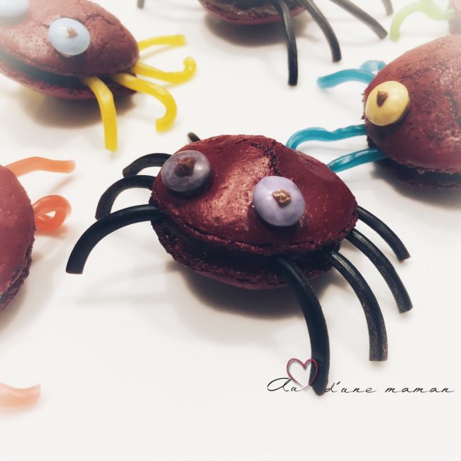 araignées araignées