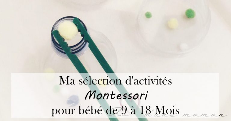 activités montessori 9 à 18 mois