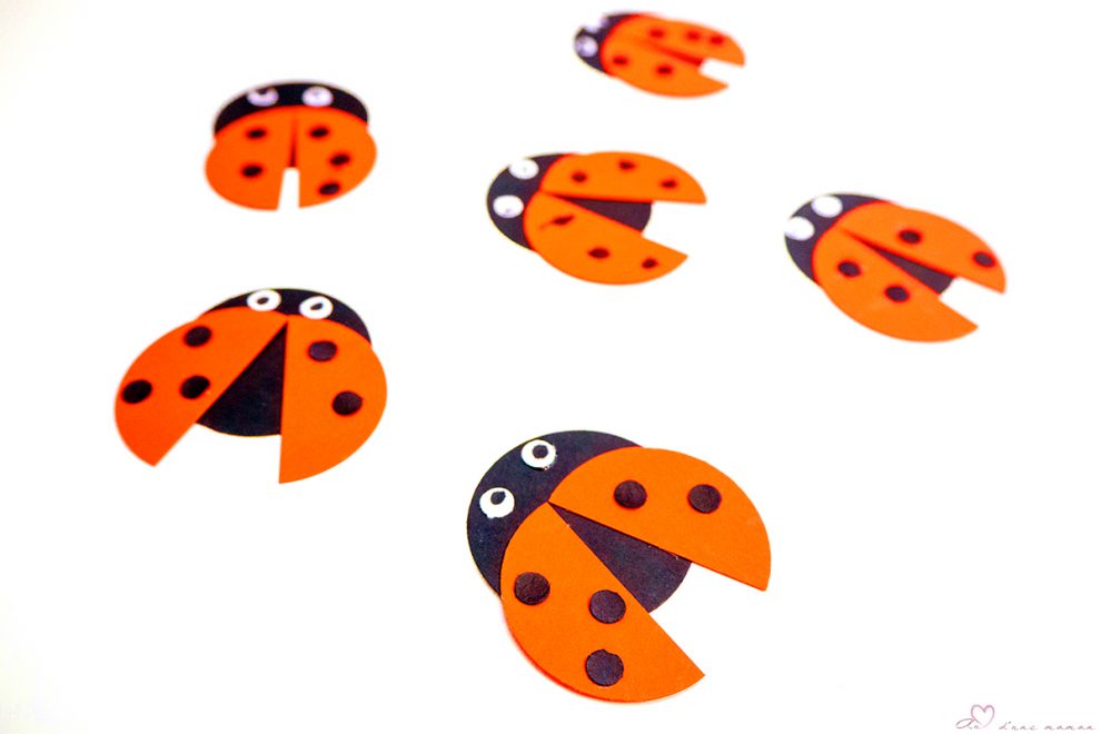 coccinelles
