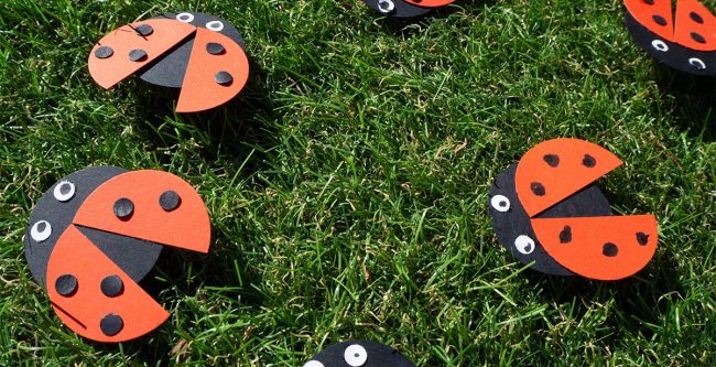 coccinelles coccinelles