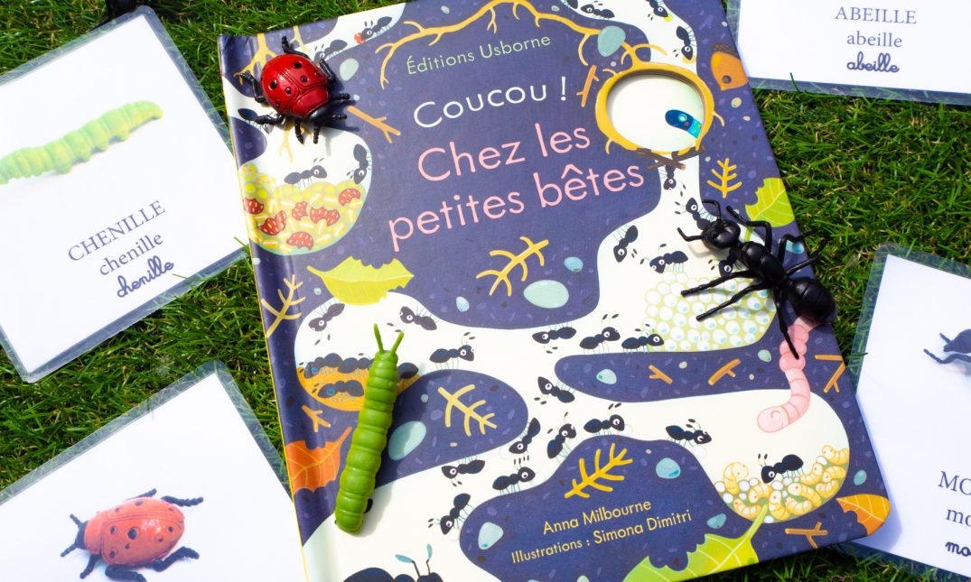 coucou chez les petites bêtes