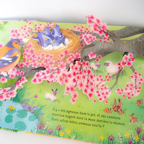 livre pop up saisons