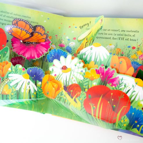 livre pop up saisons