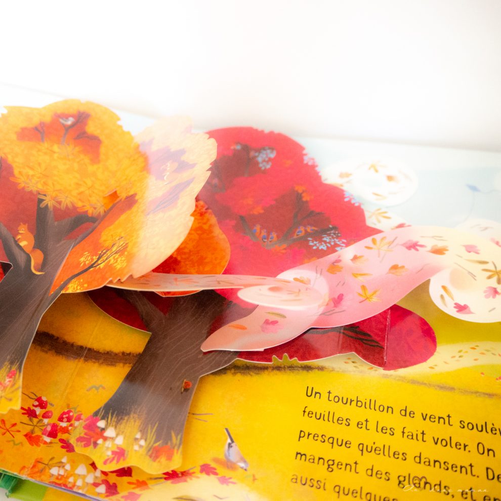 livre pop up saisons