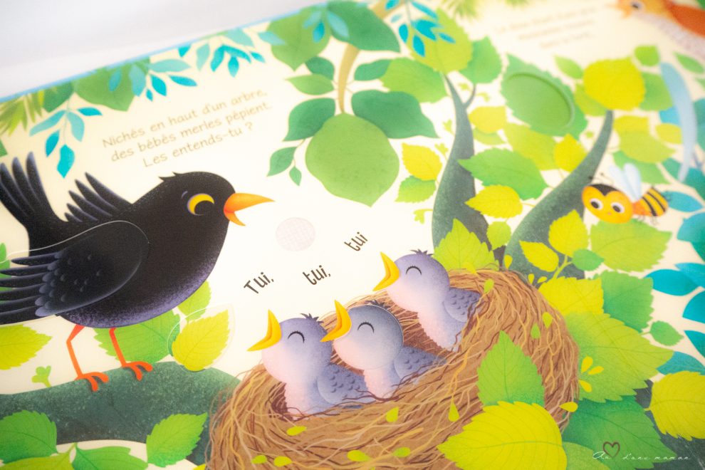 les cris des oiseaux