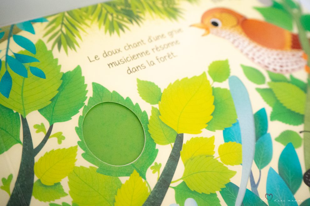 les cris des oiseaux